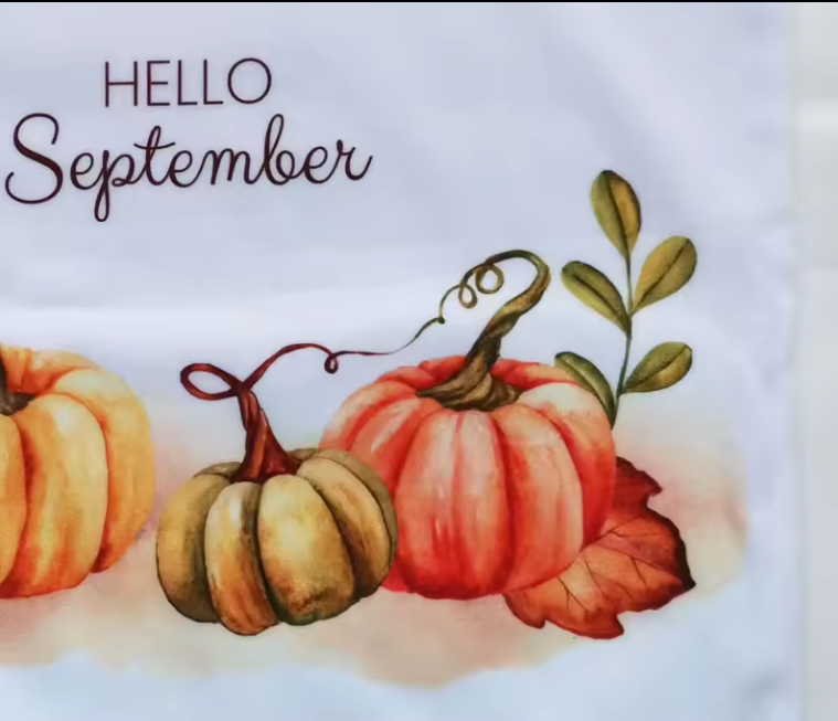 Charpie cushions 40*40